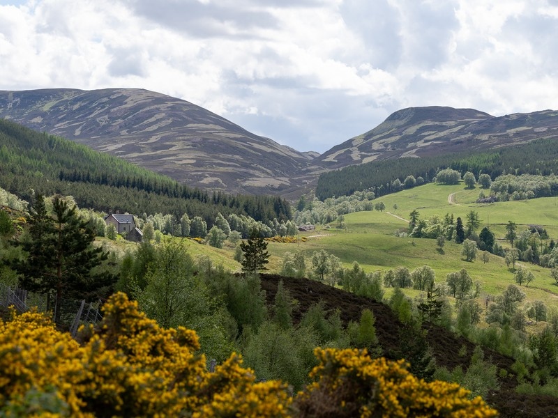 Wild Scottish landscape in Cairngorms National Park