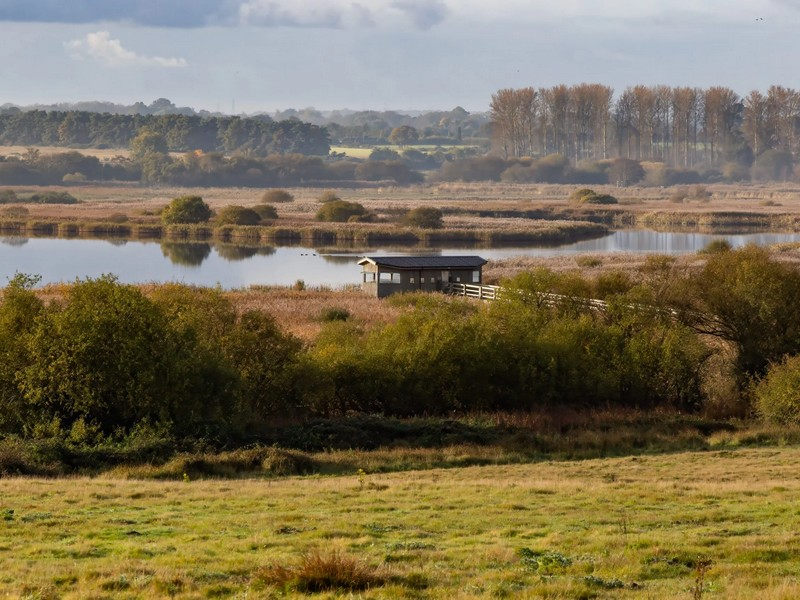 Wetland and bird reserve landscape at RSPB Minsmere