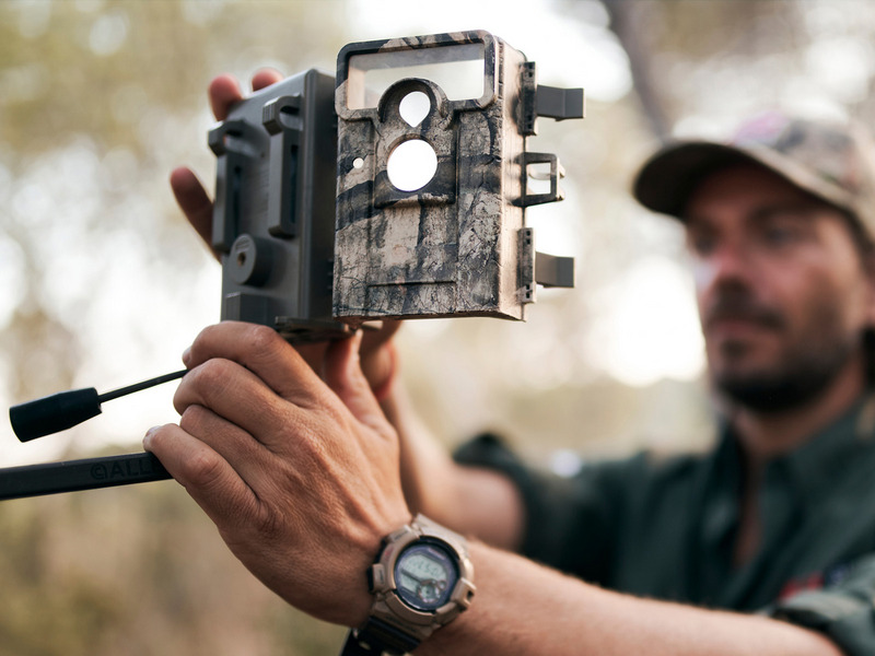 Trail camera mounted on a tree for wildlife monitoring