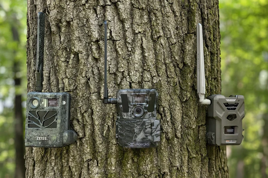 Trail camera mounted outdoors for buyer guide article